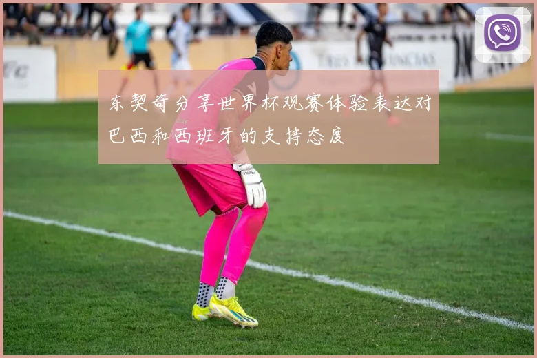 东契奇分享世界杯观赛体验表达对巴西和西班牙的支持态度