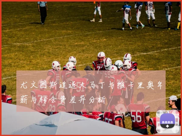 尤文图斯追逐大马丁与维卡里奥年薪与转会费差异分析